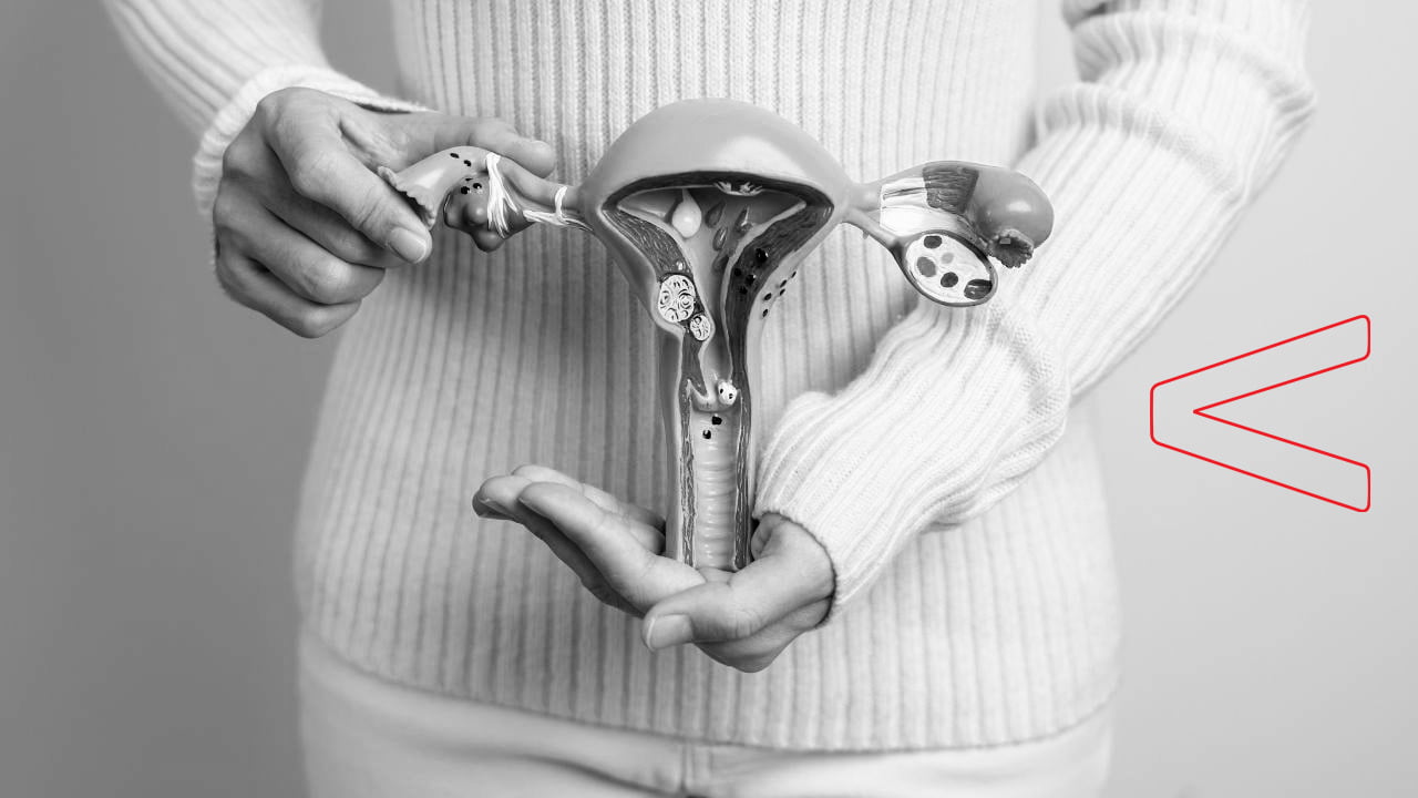 Abdominal Hysterectomy.jpg